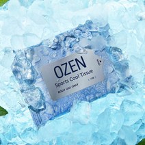 오젠 아이스샤워 쿨링 스포츠 쿨티슈 10매X4개 OZEN10, OZEN10 1팩 10매, 4개