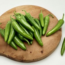 꼭지네 국내산 맵지 않은 아삭이 오이맛 모닝 고추 특품 500g, 모닝고추 500g
