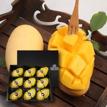 항공 직수입 맛있는 태국 남덕마이 골드망고, 태국망고 5kg