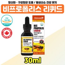 항산화 비프로폴리스 영양제 리퀴드 성장기 수험생 BEE PROPOLIS 플라보노이드 장모님 부모님 효도 선물 비 프로폴리스 추출물 구강 향균 온 가족 청소년 주부 여자 남자 30대, 프로폴리스리퀴드 x1통