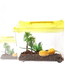 [천삼백케이] [미미네아쿠아] PH03 딸기소라게 사육세트어린이날 세트