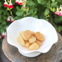 산마을농장 마늘장아찌, 900g x 1개