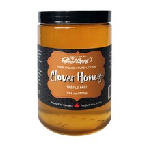 캐나다 비해피 천연꿀 클로버 꿀, 1통, 500g