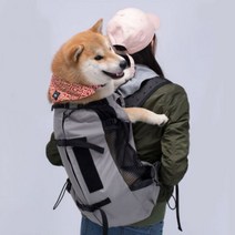 강아지 포대기 대형견 배낭형 이동가방 백팩 애견 앞가방, 날개형, 아쿠아