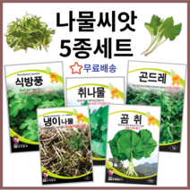 나물씨앗 5종세트 곰취 냉이 식방풍 취나물 곤드레 토종씨앗 종자 산나물씨앗 방풍나물씨앗 방풍 곤드레나물씨앗 취나물 냉이나물 씨앗