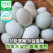 [영양분가득청계초란] 마미템 무항생제 청계란 청란 청계알 난각번호2번 방사 유정란 계란 초란 30구 60구, 1개
