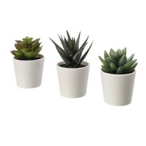 이케아 미니 인테리어 인조 다육 식물 화분 3p, 3개