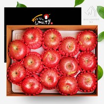 [웰굿]경북 정성담은 명품 사과선물세트 3kg(12-14과), 1개