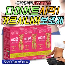40대 여성 옆구리살 뱃살 다이어트보조제 가르시니아 50대 여자 등살 윗배 아랫배 상체 하체 상 하 복부 허리 살 둘레 다이어트 체지방 감소 감량 피하지방 내장지방 빼는법 살빼기