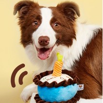 대형견 중형견 생일 파티 큰 케이크 장난감