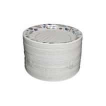 삼풍 종이접시 26cm(대)120매 친환경 일회용 코스트코