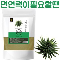 순수 자연산 와송 분말 500g 가루 생 바위솔 기와솔 국산 약초, 1개