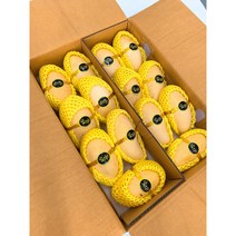 프레시마켓 항공 태국망고 18Brix 고당도 남독마이 망고 2.5kg 5kg, 태국망고2.5kg, 1개