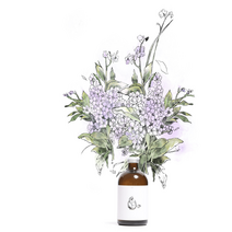 편백나무디퓨져 강아지 백화점 피톤치드 퇴사선물 화장실 거실 시그니쳐 선물박스, 블랙체리