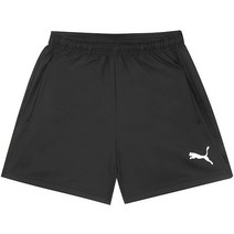 푸마 팀리가 우븐 쇼츠 (933094-01)