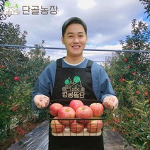 산지직송 경북 새콤달콤 빨간 후지 부사 사과, 4kg내외 / 정품 / 중대과 / 15~16과