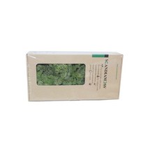 코리아꽃자재 스칸디아모스500g, 미디엄그린