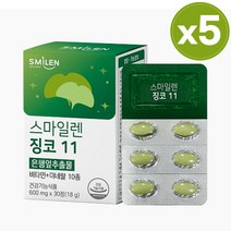 식약처 인증 기억력 혈행 개선 영양제 징코 11 은행잎 추출물 징코빌로바 뇌 두뇌 건강 영양제, 5개, 30정