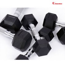 [IW] PEV 육각 아령 2kg X 2 육각덤벨 6각 고무아령