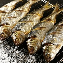 마량향 산지직송 구이용 전어 1kg 13~17미, 국내산 구이용 전어 1kg