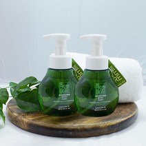 네이쳐러브메레 핸드워시 거품형 280ml 2개 세정제 손소독제 답례품 미세먼지타파, 완포장(상자포장/스티커 부착)개당600원추가, 60개이상 구매시(개당+150원)