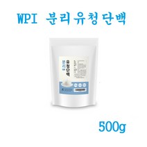 WPI 포대유청 순수 프로틴 파우더 단백질 보충제 분말 500g 1팩
