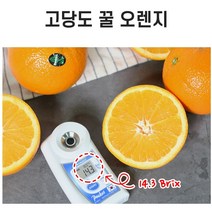 고당도 꿀 오렌지 12브릭스이상 블랙라벨 오렌지, 중과x15과