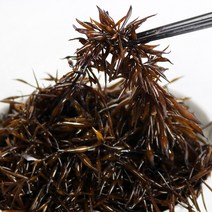 완도 산지직송 당일조업 제철 생톳 2kg, 1개