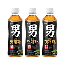광동 힘찬하루 헛개차, 340ml, 6개