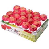 [우체국쇼핑] 청송사과 선물세트 팬캡포장-M02-4kg(상품)[15~17과]중과-팬캡포장, 상세 설명 참조