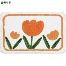 작은 카펫 침실 ins 캐시미어 캐릭터 매트 욕실 흡수 화장실 입구 미끄럼 방지 가정용 거실