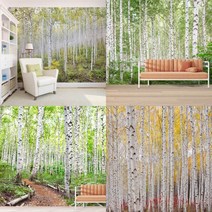 자작나무 숲벽지 뮤럴 포인트 200502-A, 풀벽지/ 가로300cm*세로240cm