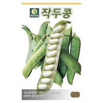 작두콩씨앗 100립 채소 덩굴성 국내생산 콩씨앗