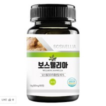 보스웰리아 인도산 고농축 보스웰릭산12% 우슬 추출물 분말 90정 관절 연골 엔 보스웰니아 영양제 HACCP인증 보수엘리아 보스윌리아 가루 19종혼합유산균 필수아미노산 무부형제, 1통