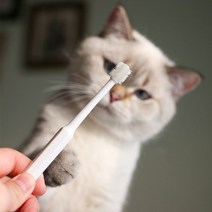 홈해피 PET 강아지 고양이 칫솔 양치 입냄새 치석제거 360도 _ 93289EA, 강아지고양이원형칫솔