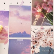 감성 사진 엽서 벽부착 인테리어 촬영소품 핑크톤 인화용품 메세지카드 미니편지지 감사카드 단체선물 PVC