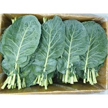 신선따옴 케일 1kg/2kg, 1kg