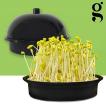 감성편의점 중형 집에서 콩나물 키우기 재배기 키트 가정용 어린이, 1)중형키트(체험콩+설명서)