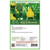원앙배호박씨앗 10립 혼색 소과 색동 관상용호박씨앗 채소종자, 1개