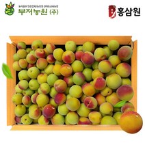 홍삼원 광양 유기농 홍매실 특상품 10kg 3박스 6월중순예약