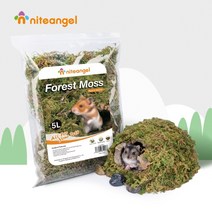 Niteangel Aite 숲 이끼 햄스터 황금 곰 중첩 굴착 이끼 자연 바람 조경 용품 2개묶음판매, 말린 이끼(약 130g) 2개