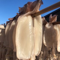 구룡포 동해안 반건조 오징어 골라담기 /, 02_반건조 오징어 소 10미 800g 내외