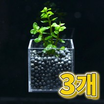 어항수초 컨테이너 워터바코바 세트 3개, 단품