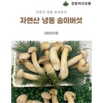 [경동버섯유통 송이 능이]자연산 송이버섯/ 냉동 1pk 냉동송이/특HB HB P P3/1kg, 특HB(1kg)