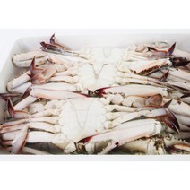 냉동숫꽃게라운드 4kg(300~400g) 양념게장 꽃게탕용, 단품