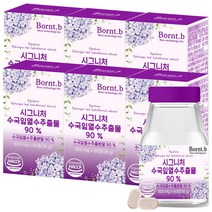 본트비 시그니처 수국잎 추출물 36g, 60정, 6개