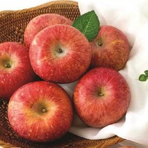 TYDL 당도선별 햇사과 대과, 비세척_3kg_대과_9~11입, 1개