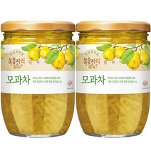 복음자리 모과차 620gX2개