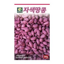 [다농] 자색땅콩 씨앗 20g[AS], 상세 설명 참조