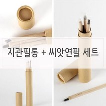 PDW28F172 키우기쉬운식물 지관필통 인테리어식물 화분 n 세트 씨앗연필 식물인테리어 거실 거실인테리어 실내식물 싹, 해바라기